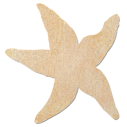 starfish | Wooden Puzzle | Chaos series - 300 pieces